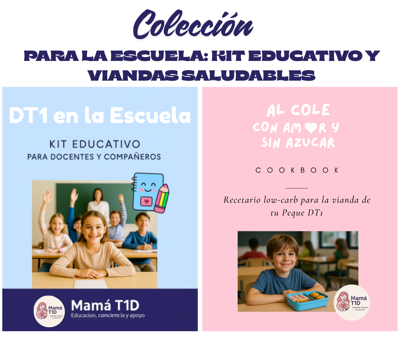 11. Coleccion para la escuela: Kit Educativo y Viandas saludables de bajo índice glucémico